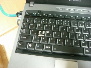 で、このありさま